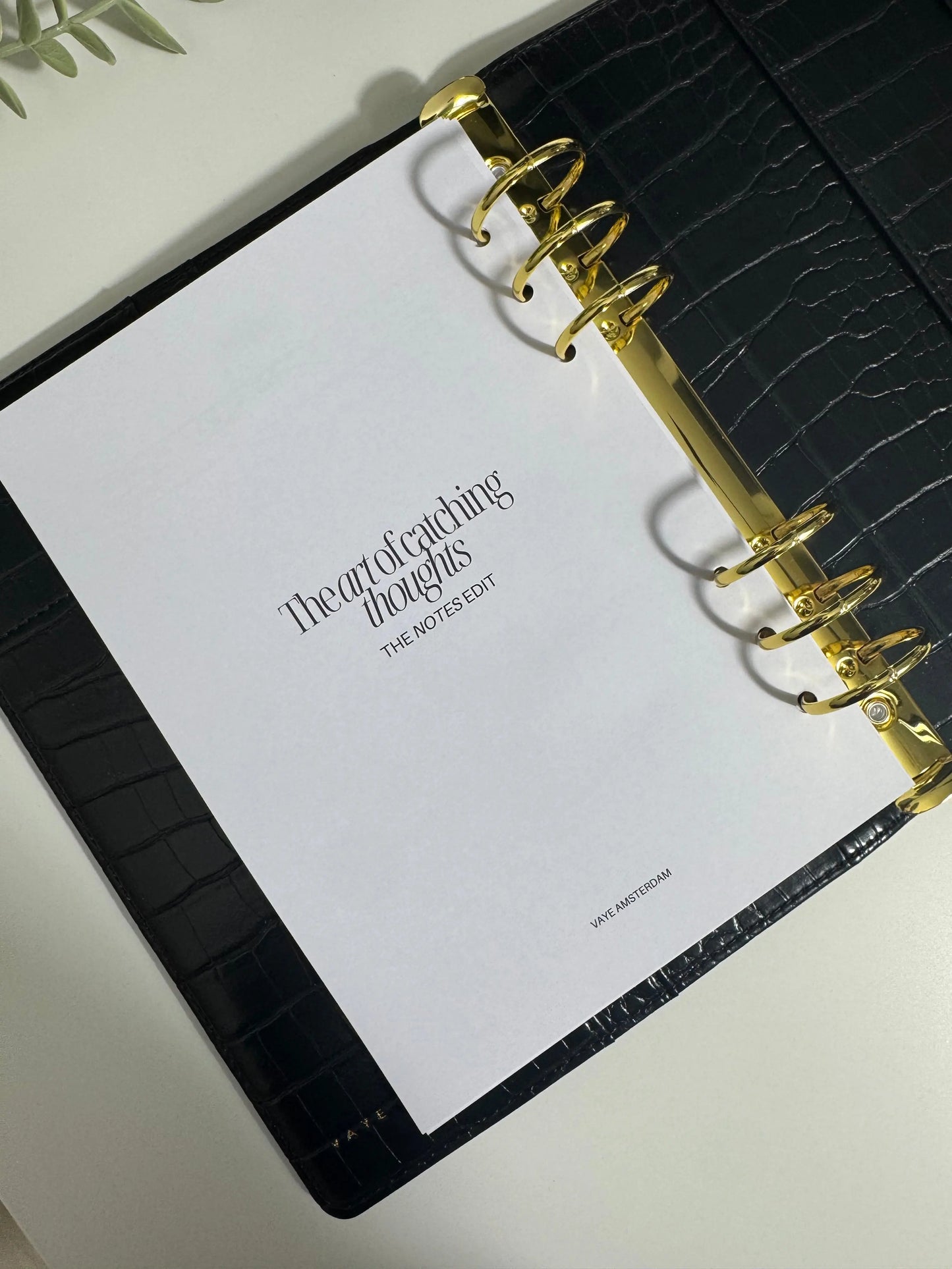 The notes edit Vaye Amsterdam