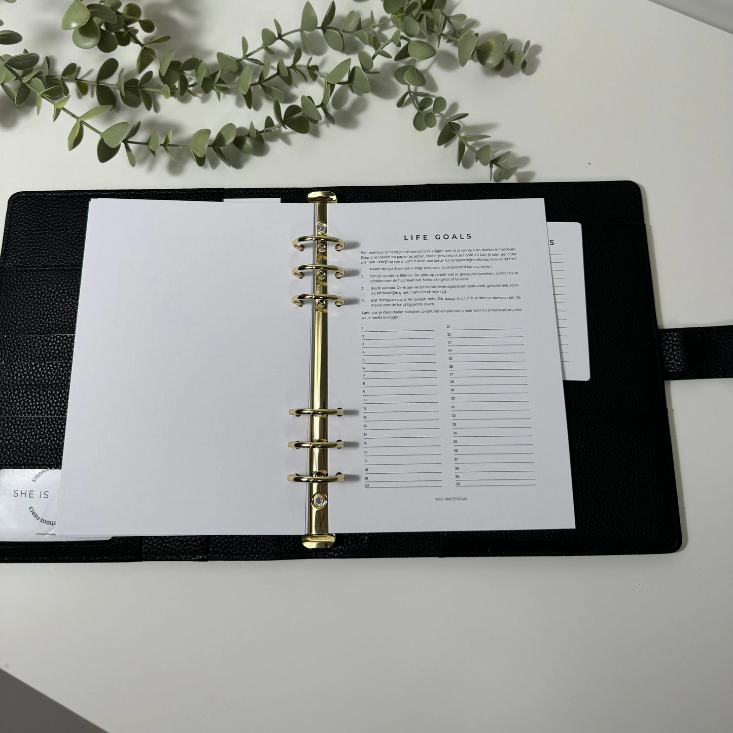 Life goals planner Vaye Amsterdam