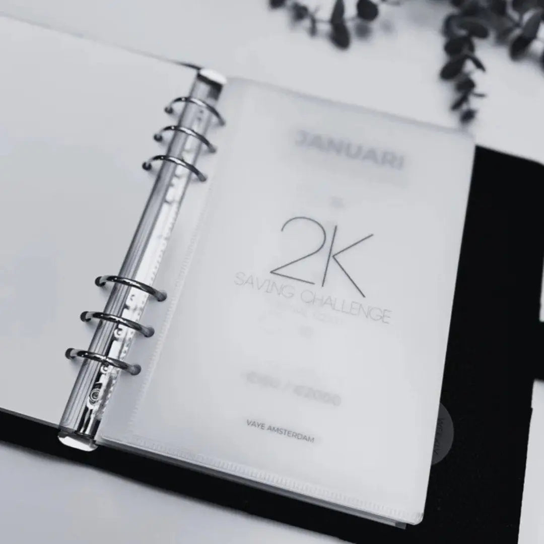 Minimalistische spaar challenge voor cashstuffing: eenvoudige vakjes om per gespaard bedrag af te strepen. Helder en overzichtelijk ontwerp