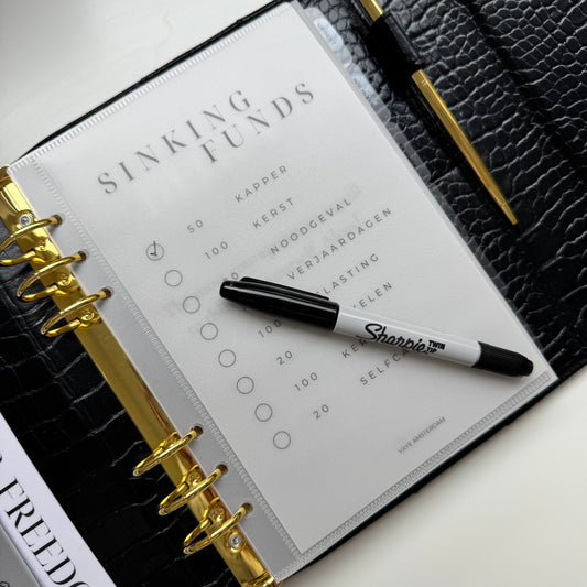 Cash stuffing tracker