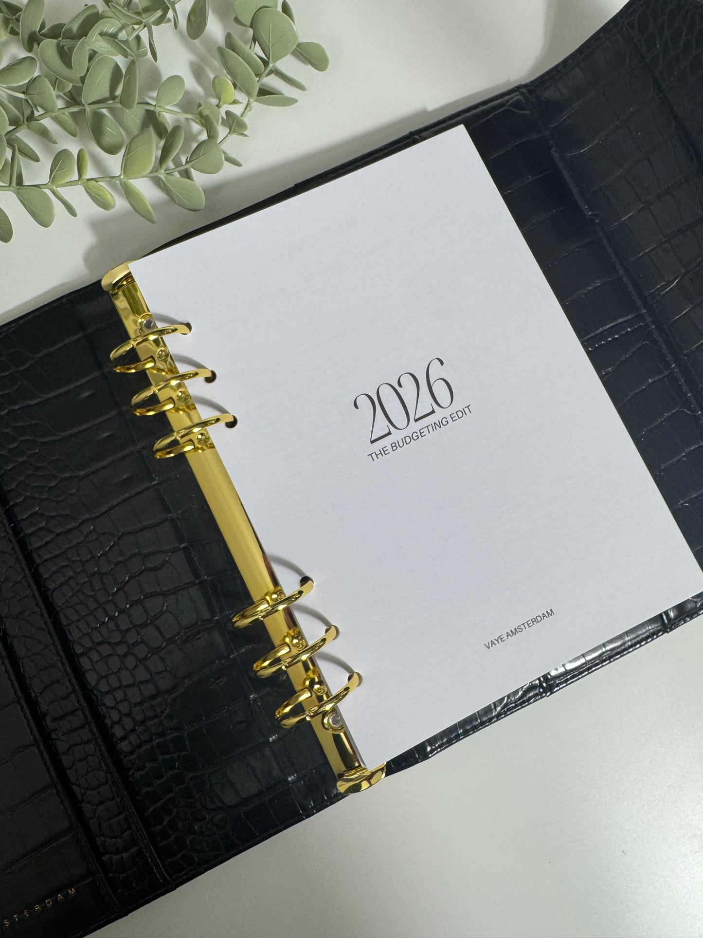 2026 budget planner